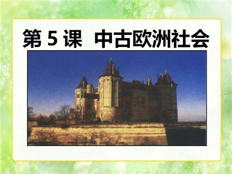 《中古欧洲社会》亚洲和欧洲的封建社会PPT课件8