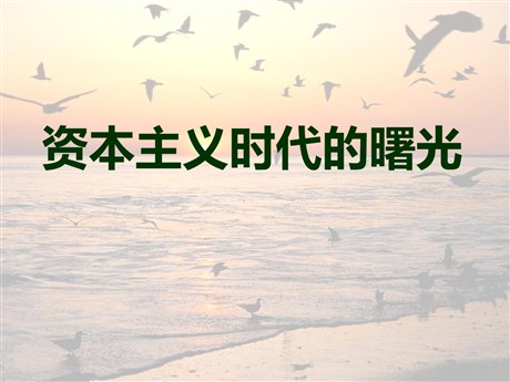 《资本主义时代的曙光》步入近代PPT课件4