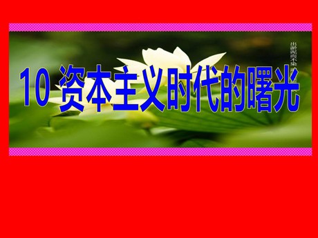 《资本主义时代的曙光》步入近代PPT课件8