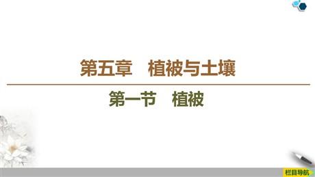 《植被》植被与土壤PPT