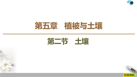 《土壤》植被与土壤PPT