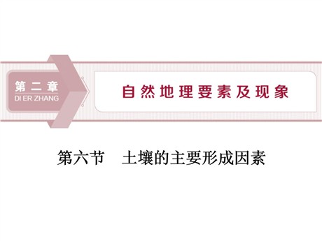 《土壤的主要形成因素》自然地理要素及现象PPT课件