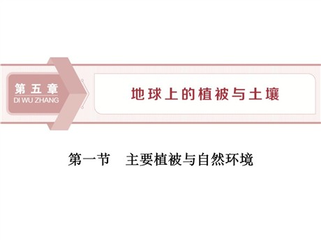 《主要植被与自然环境》地球上的植被与土壤PPT教学课件