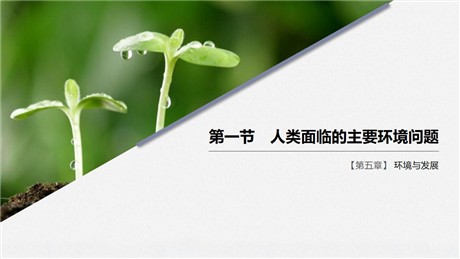 《人类面临的主要环境问题》环境与发展PPT