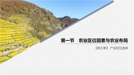 《农业区位因素与农业布局》产业区位选择PPT
