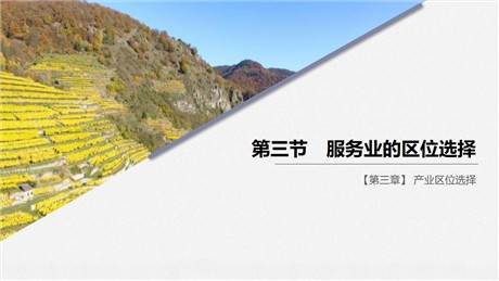 《服务业的区位选择》产业区位选择PPT