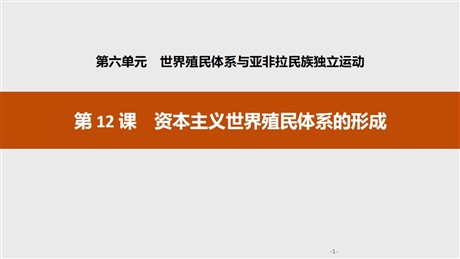 《资本主义世界殖民体系的形成》世界殖民体系与亚非拉民族独立运动PPT课件