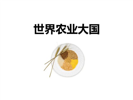 《世界农业大国》PPT下载
