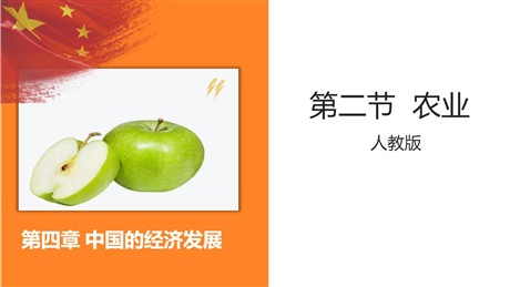 《农业》中国的经济发展PPT下载