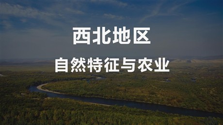 《自然特征与农业》西北地区PPT课件下载