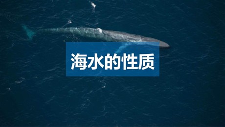 《海水的性质》PPT免费下载