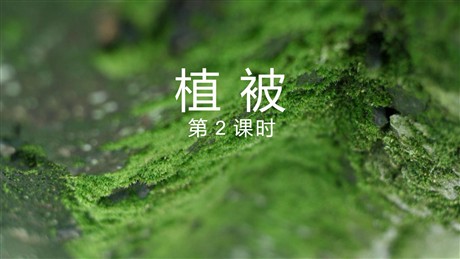 《植被》植被与土壤PPT下载(第2课时)