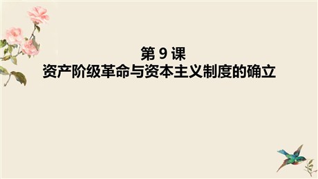 《资产阶级革命与资本主义制度的确立》PPT免费课件