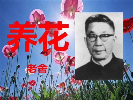 《养花》PPT课件3