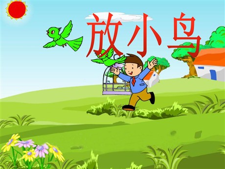 《放小鸟》PPT课件4