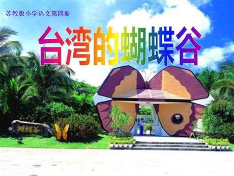 《台湾的蝴蝶谷》PPT课件3