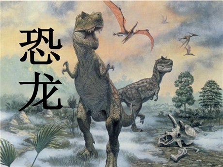 《恐龙》PPT课件4