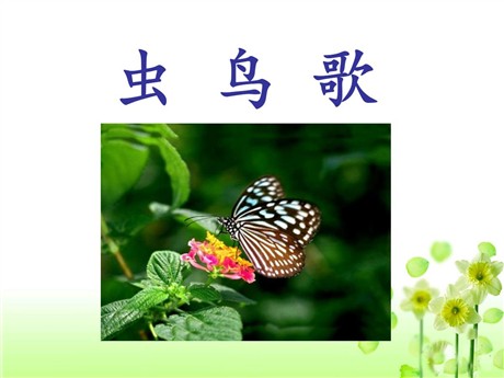 《虫鸟歌》PPT课件2