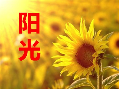 《阳光》PPT课件3