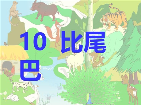 《比尾巴》PPT课件2