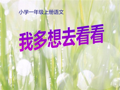 《我多想去看看》PPT课件5