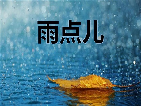 《雨点儿》PPT课件6