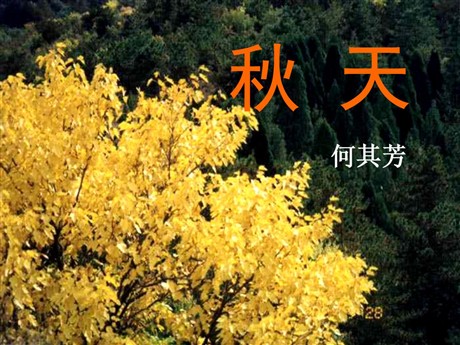 《秋天》PPT课件5
