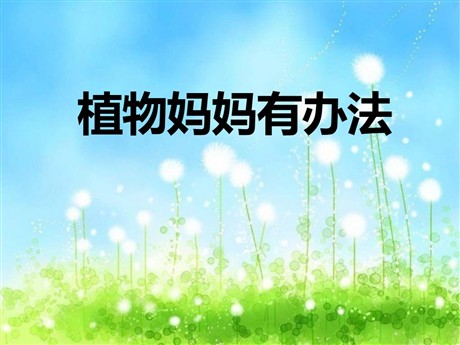 《植物妈妈有办法》PPT课件2
