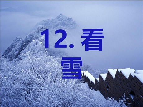 《看雪》PPT课件3