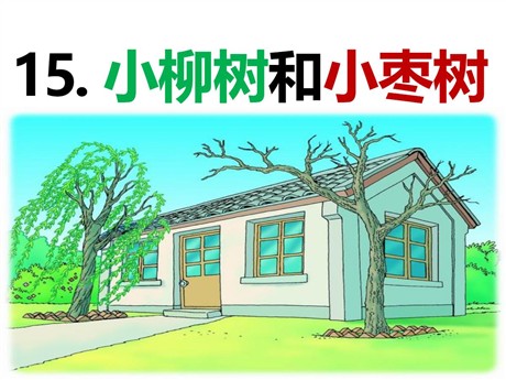 《小柳树和小枣树》PPT课件3