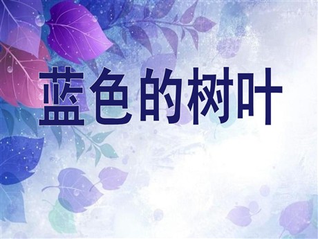 《蓝色的树叶》PPT课件2