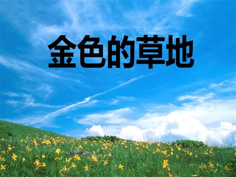 《金色的草地》PPT课件4
