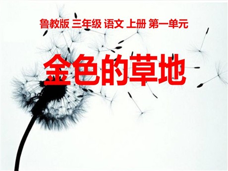 《金色的草地》PPT课件7
