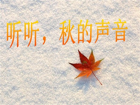 《听听，秋的声音》PPT课件