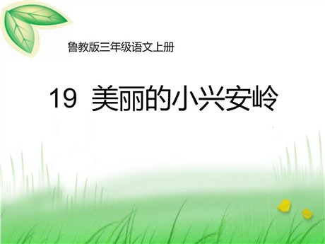 《美丽的小兴安岭》PPT课件4