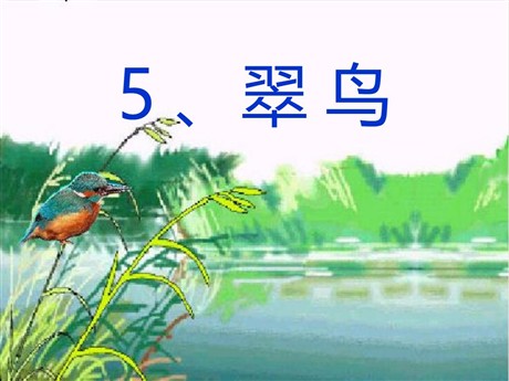 《翠鸟》PPT课件4