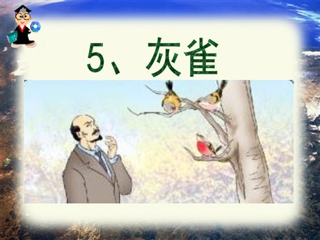 《灰雀》PPT课件4