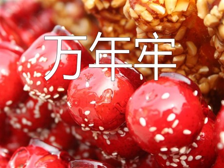 《万年牢》PPT课件4