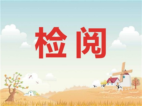 《检阅》PPT课件3