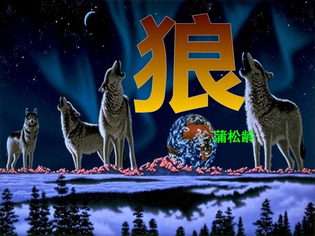 《狼》PPT课件4