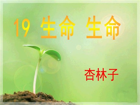 《生命生命》PPT课件10