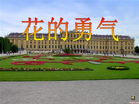 《花的勇气》PPT课件6