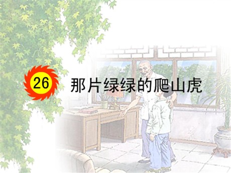《那片绿绿的爬山虎》PPT课件2