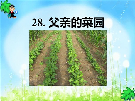 《父亲的菜园》PPT课件8