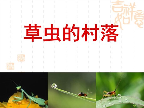 《草虫的村落》PPT课件下载7