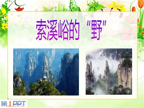 《索溪峪的“野”》PPT课件下载7