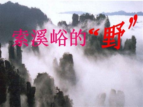 《索溪峪的“野”》PPT课件下载8