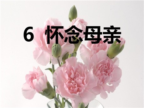 《怀念母亲》PPT课件下载5