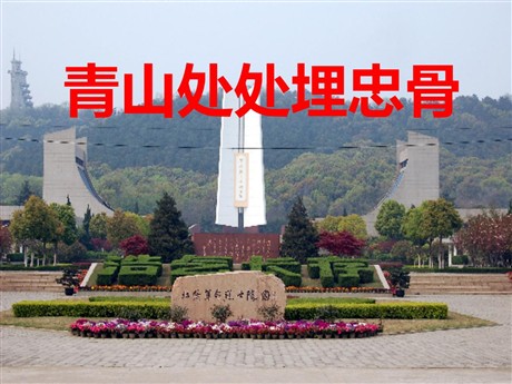 《青山处处埋忠骨》PPT课件6