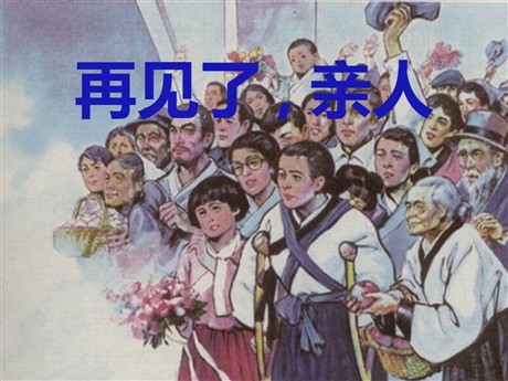 《再见了，亲人》PPT课件8